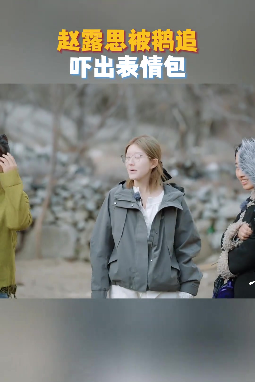 听说大鹅会护雏众人验证,露思被追出表情包