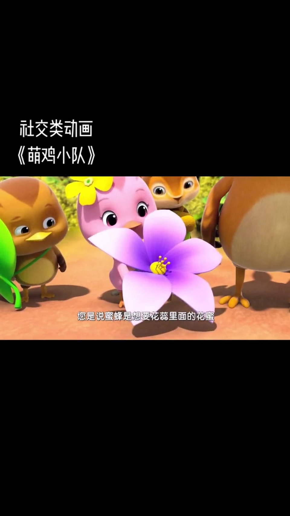 萌鸡小队:社交类动画片