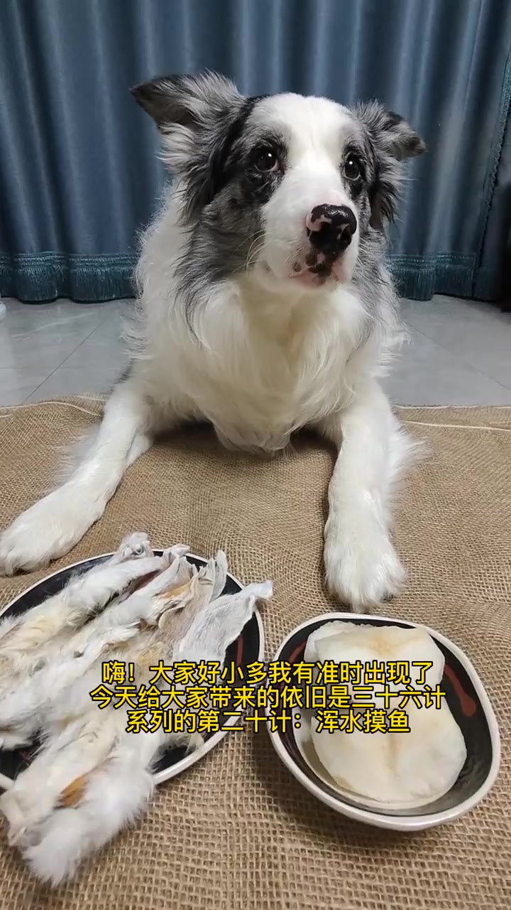 趣三国《浑水摸鱼》