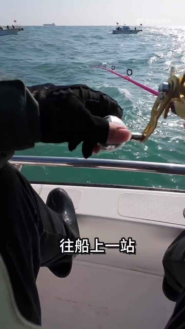 舟山海钓超全攻略来袭!新手必看!3分钟带你摸清门道～从装备挑选到全年鱼情走势,MH硬度钓竿