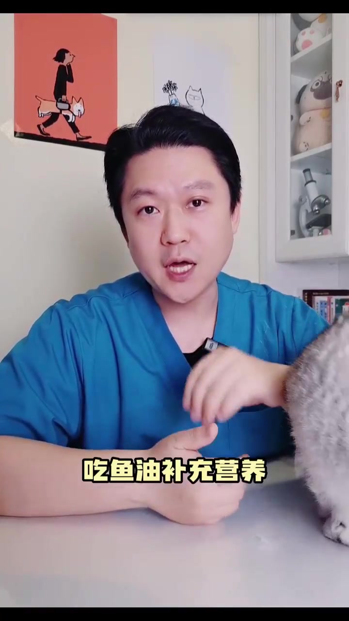 给猫咪吃鱼油和卵磷脂,真能防止猫咪掉毛吗