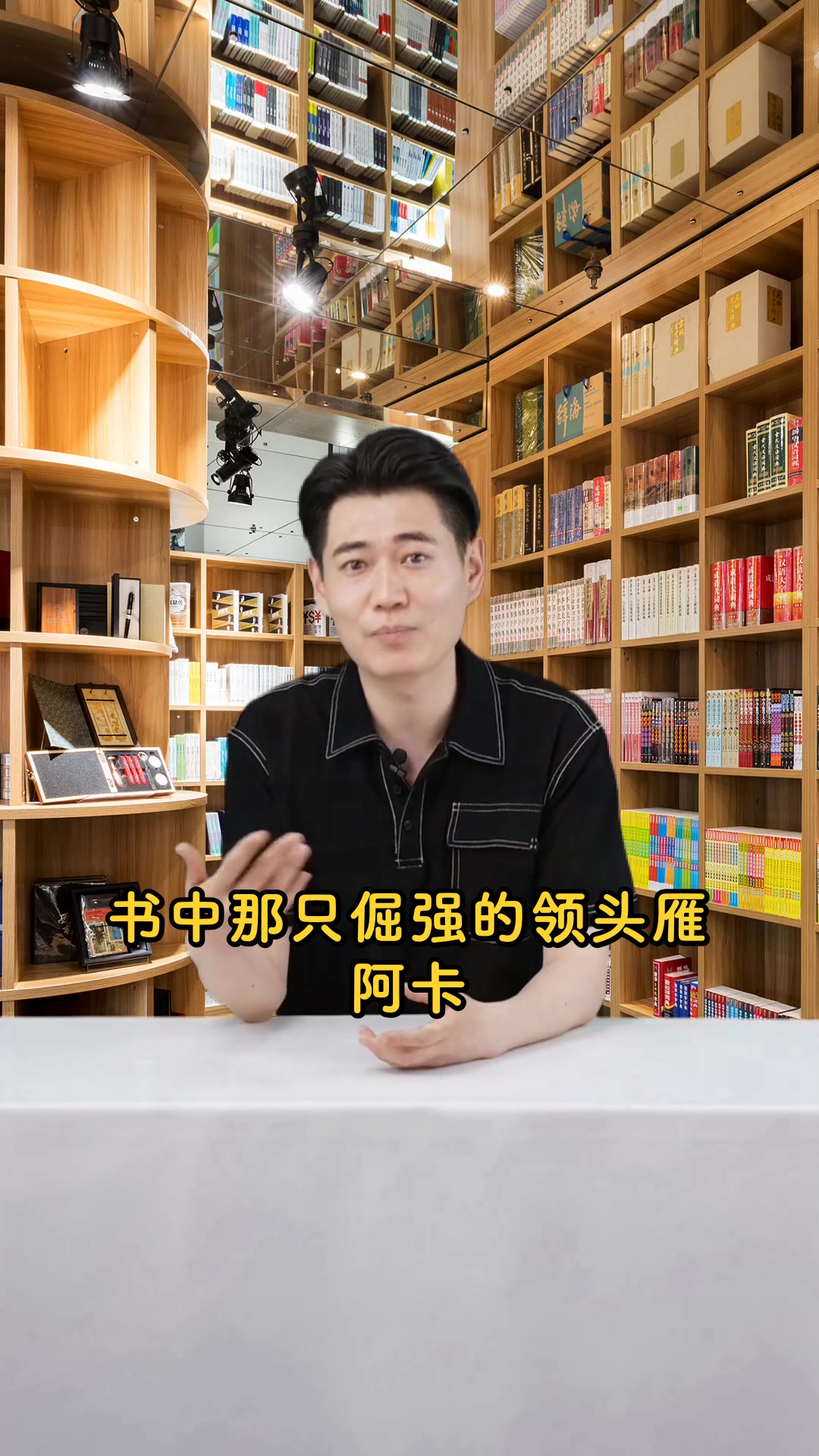 骑鹅旅行记插图里的奇幻之旅