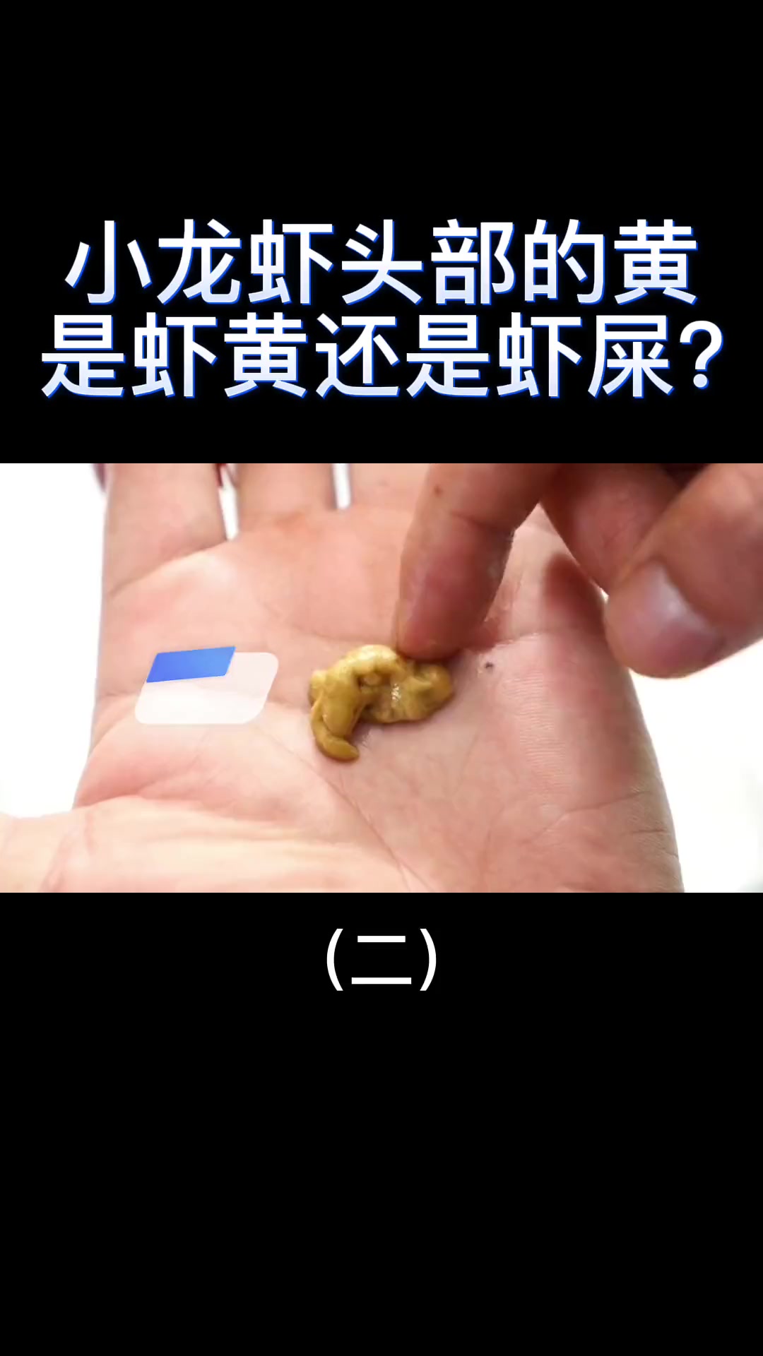 小龙虾头部的“黄”,是虾黄还是虾屎?吃了这么多年终于明白了2
