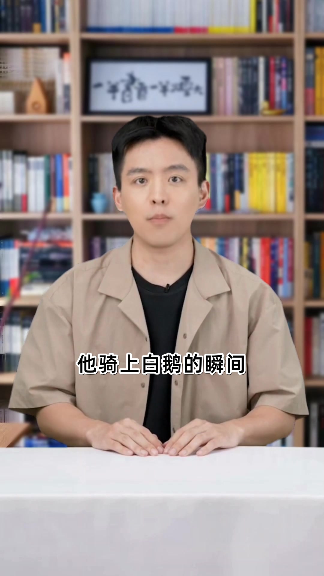 骑鹅旅行记生命的飞翔与心灵归途