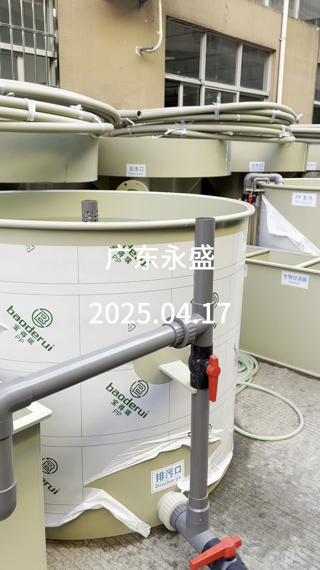 小型循环水养殖系统之圆形池#庭院鱼池#过滤系统#专业生产厂家