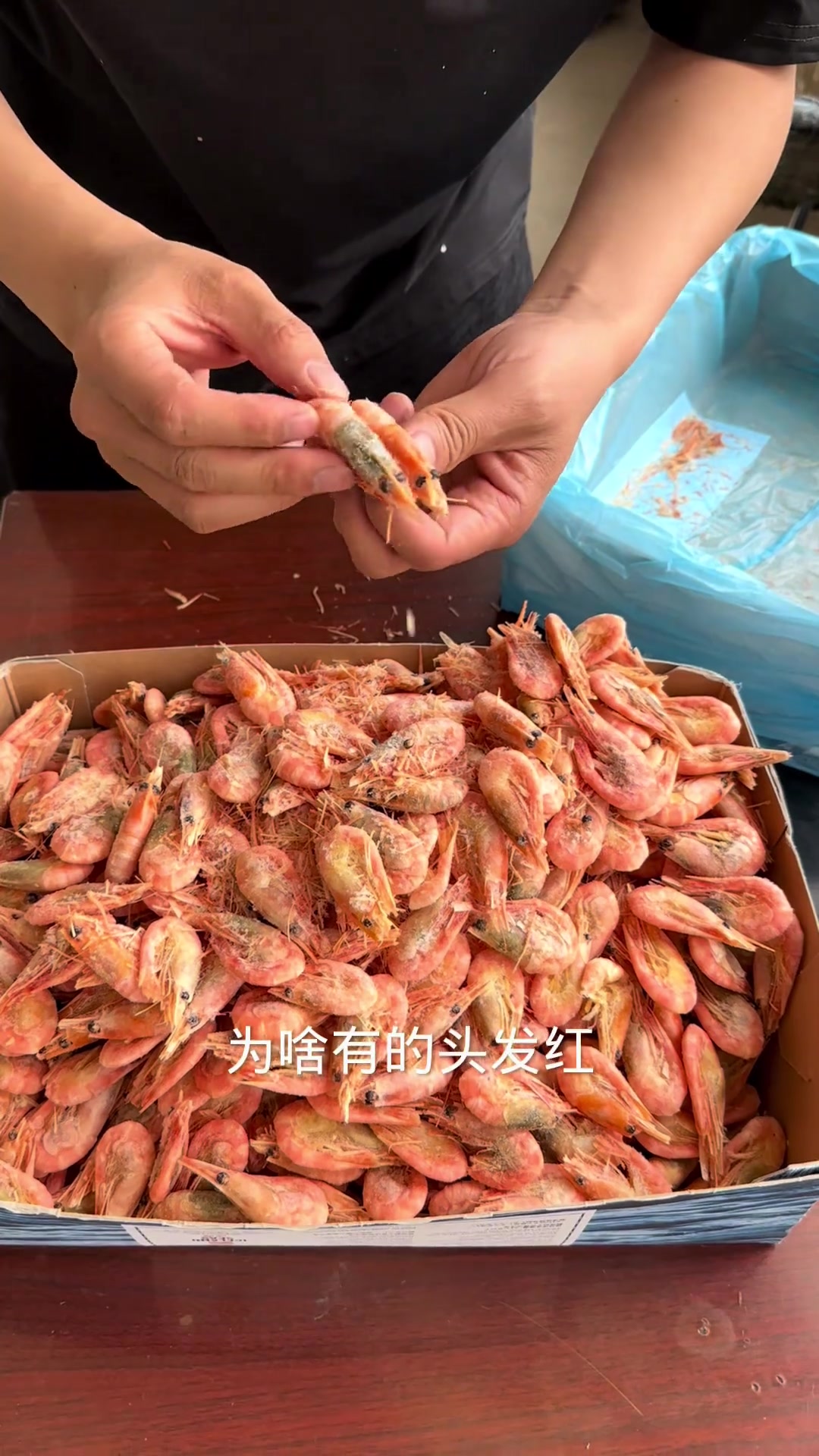 北极甜虾是野生虾中很少带甜味的
