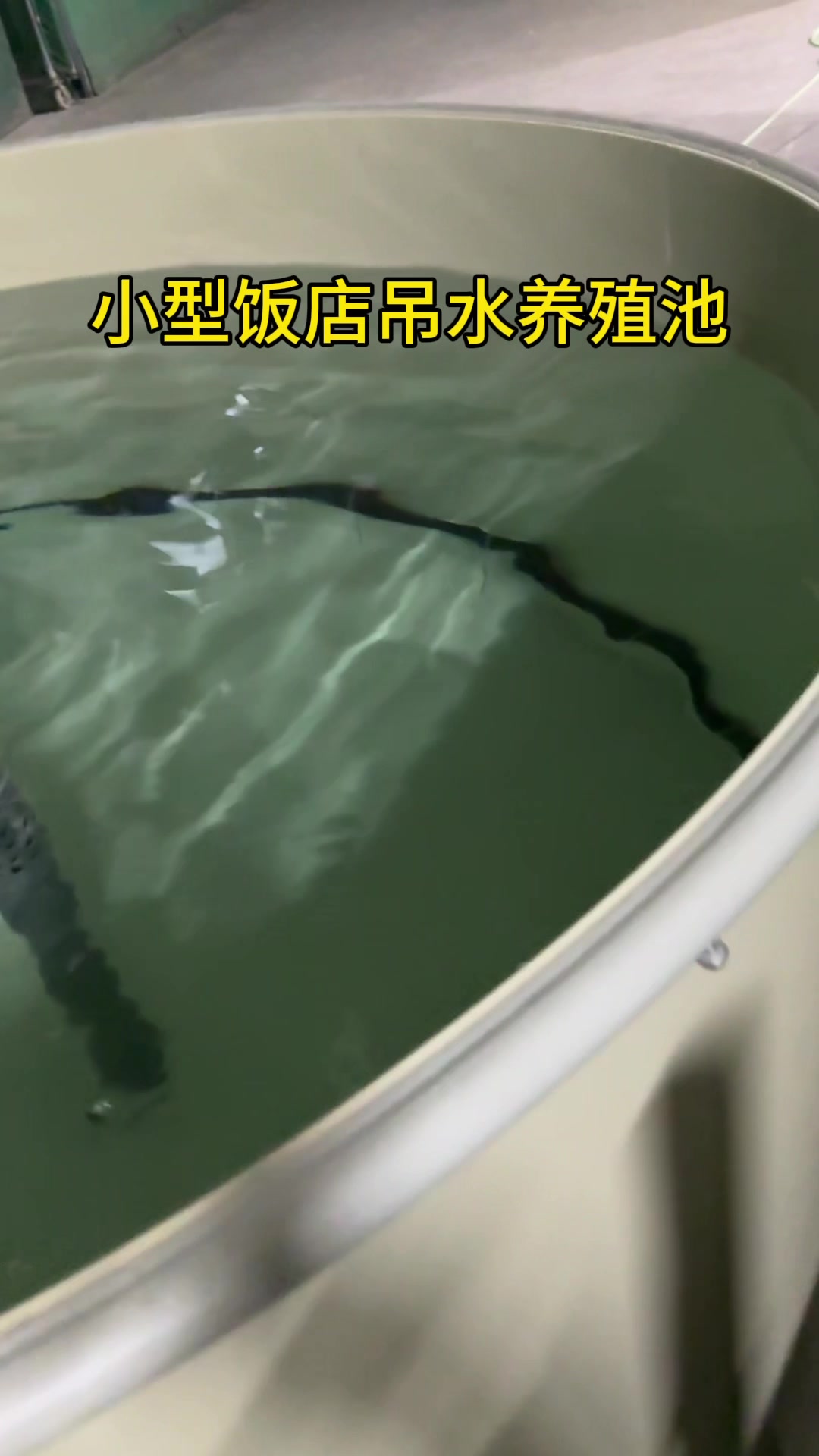 1.5*1.2饭店、农庄、餐厅吊水鱼池#支持定做各种尺寸 #鱼虾蟹养殖