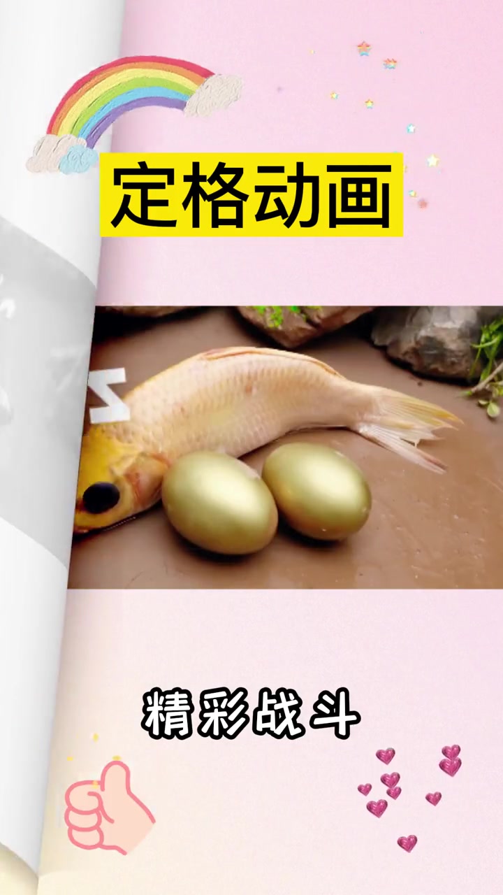 多彩鱼精彩的几场战斗,勇猛无比!