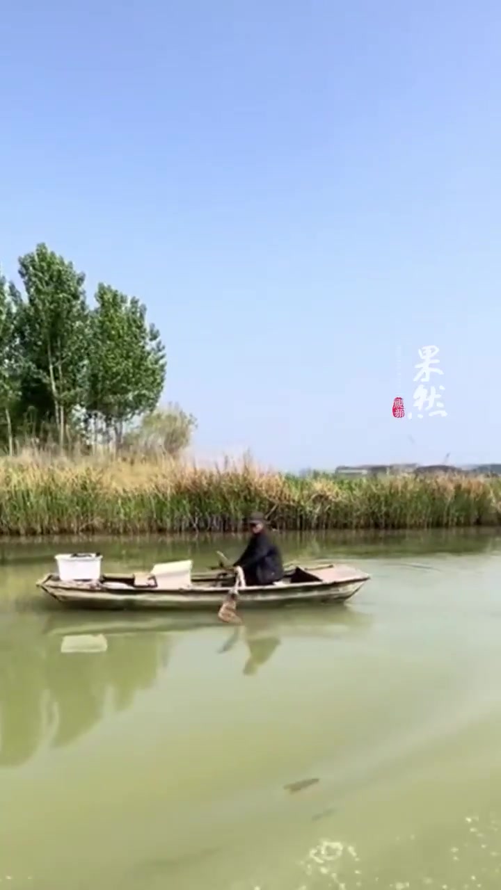 果然视频·新农人丨他在微山湖天天“摸鱼”,传统渔网捕千万流量
