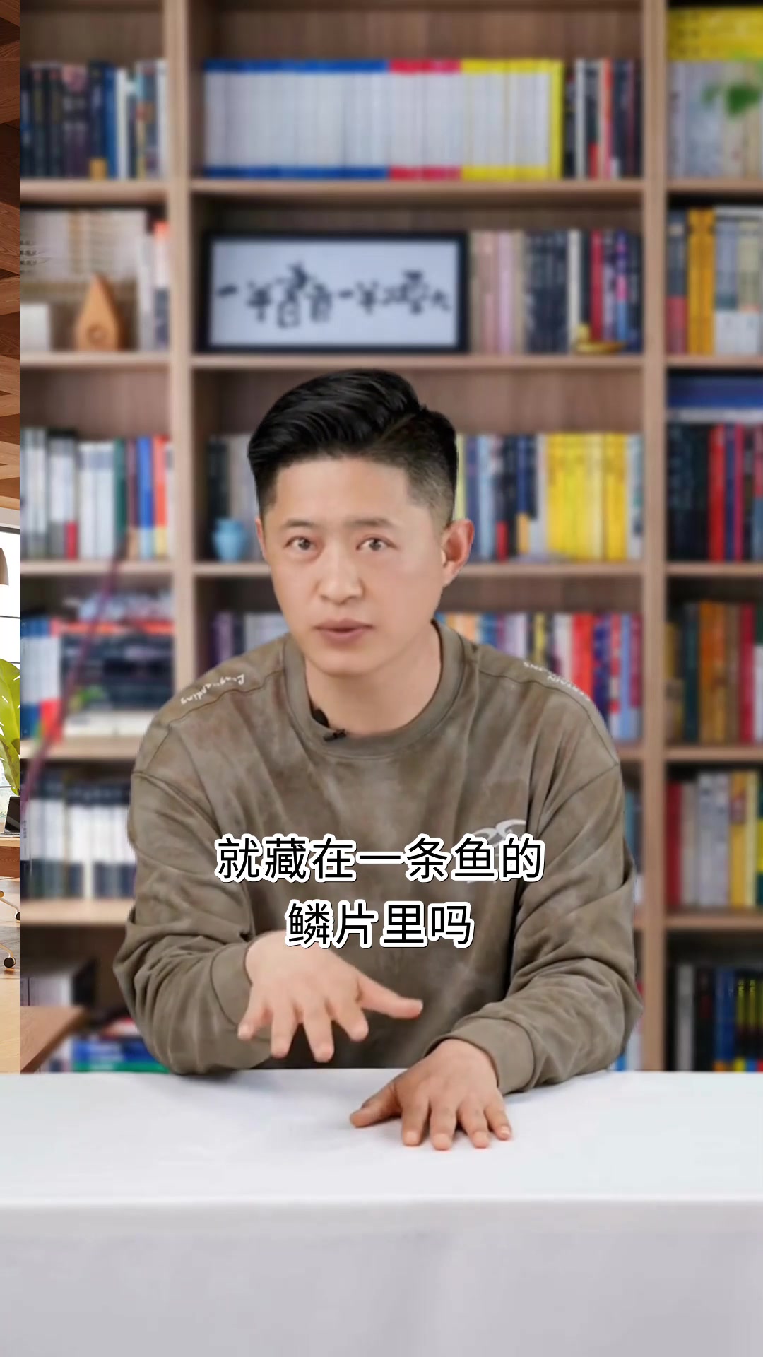 花瓣儿鱼年度好书游向冬天的鱼