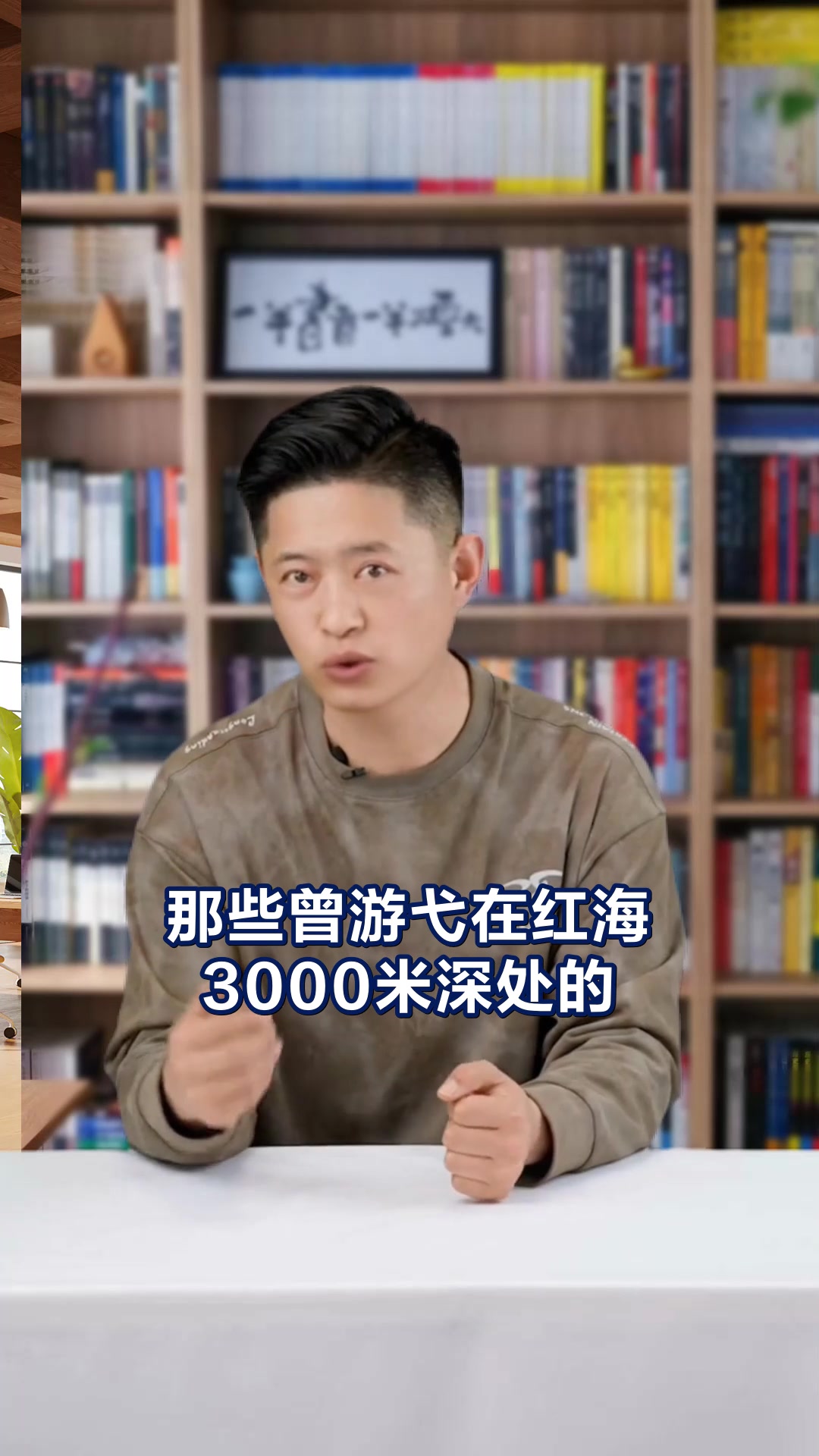 丁丁历险记迷必看红海鲨鱼科普力作