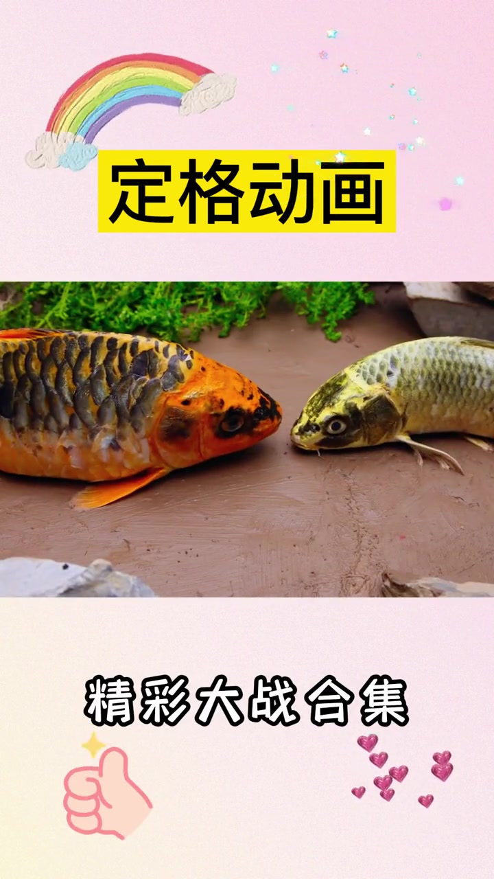 多彩鱼大战合集,非常精彩,不要错过哦