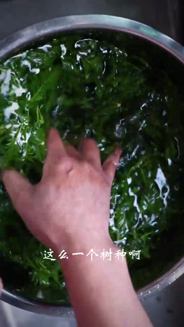 皂芽菜,是每年春天绝对不能不可错过的美食,在晋东南地区,从不早起的人也会提前设置好闹钟早早