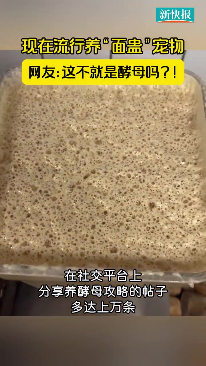 「现在流行养面蛊宠物网友:这不就是酵母吗?」继养石头、养芒果核等“奇奇怪怪”的宠物之后,近