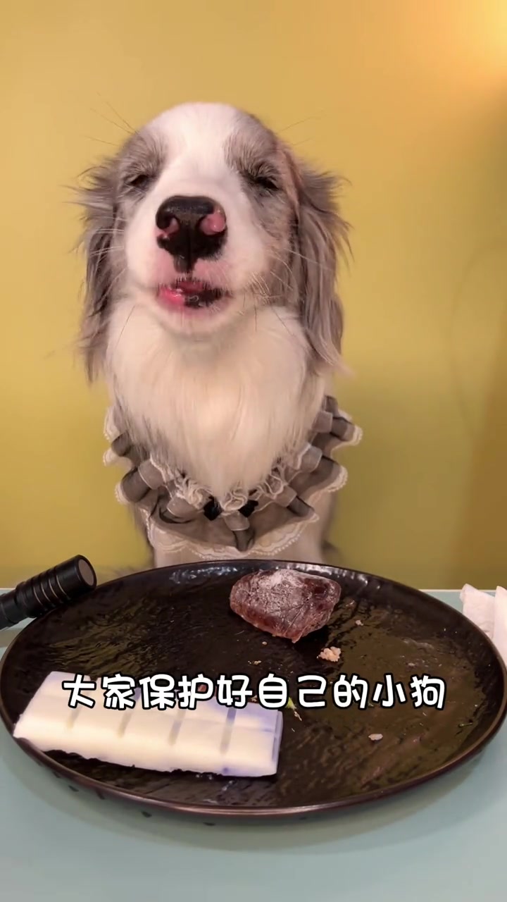 猛兽鳄鱼腿返场啦