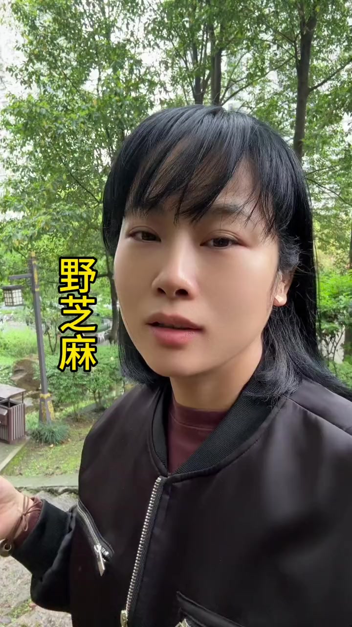 医院后面的小公园里,路边到处是开花的野芝麻,很是漂亮,看见它们我的心情瞬间不那么急躁了