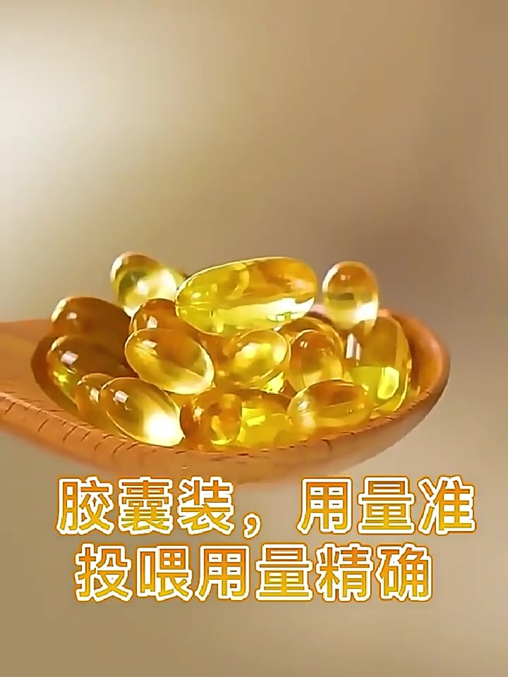 厂家直供猫咪鱼油宠物通用鱼肝油犬用卵磷脂深海鱼补充营养用品