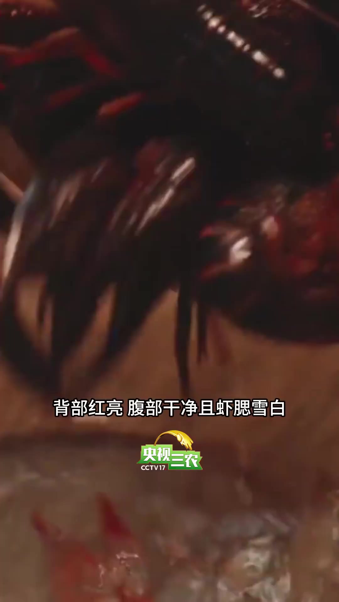 小龙虾到底能不能吃头?