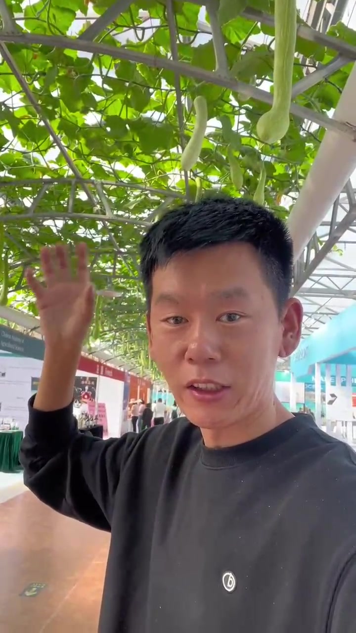 我在寿光看菜博会