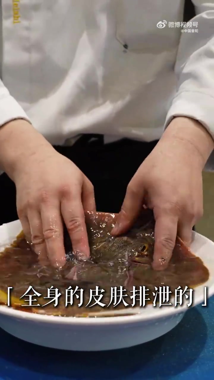 黄蝠鱼又叫“花鱼”,可它看着并不花,很多人都好奇这名字的由来,不知道大家那儿都怎么称呼它呢