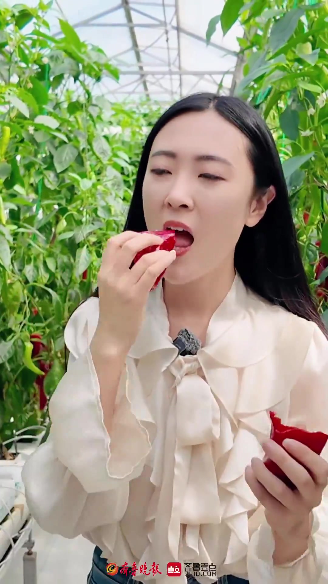 果然视频|这里有可以降血糖的辣椒?功效蔬菜,为营养加分