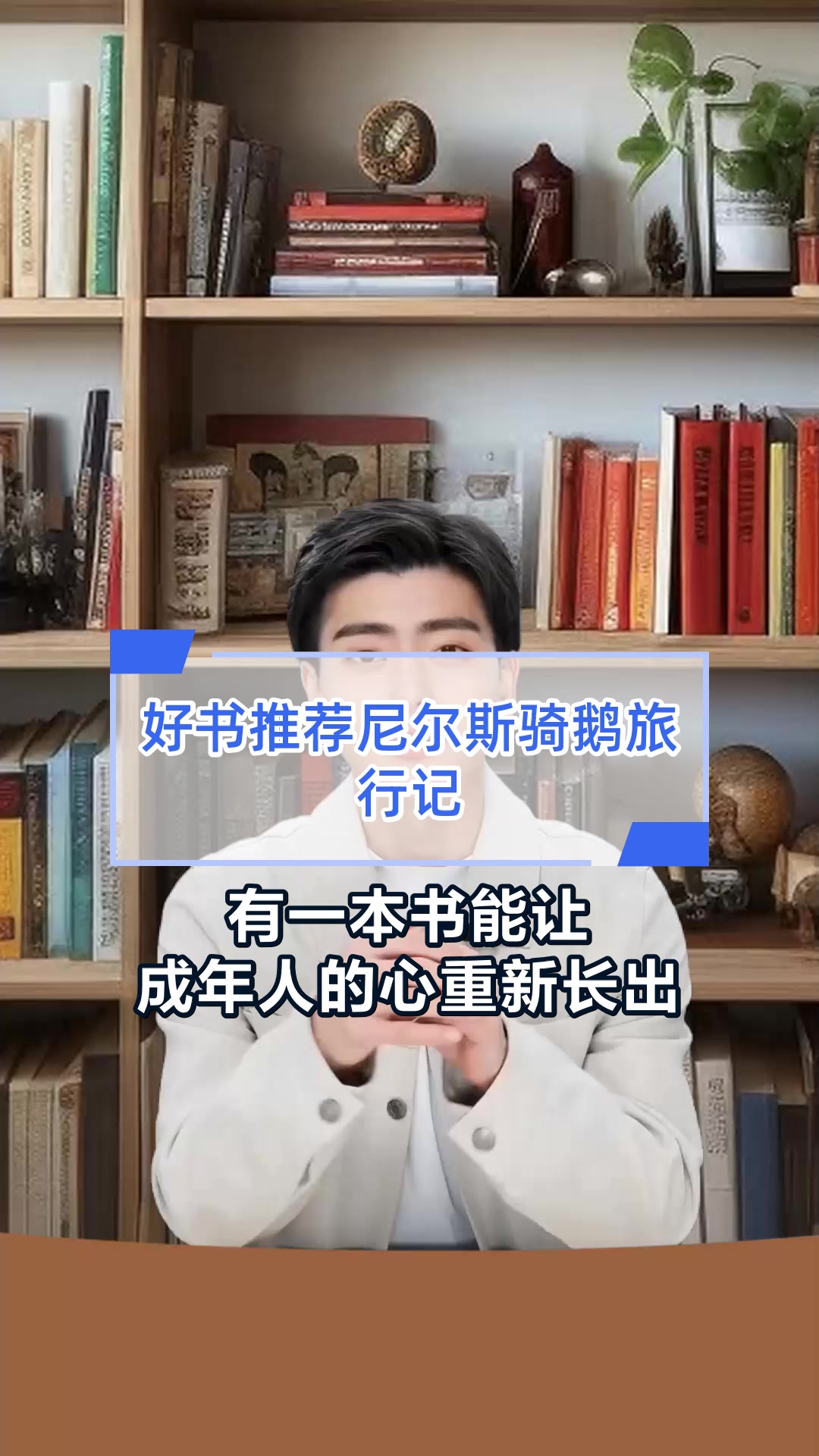 好书推荐尼尔斯骑鹅旅行记