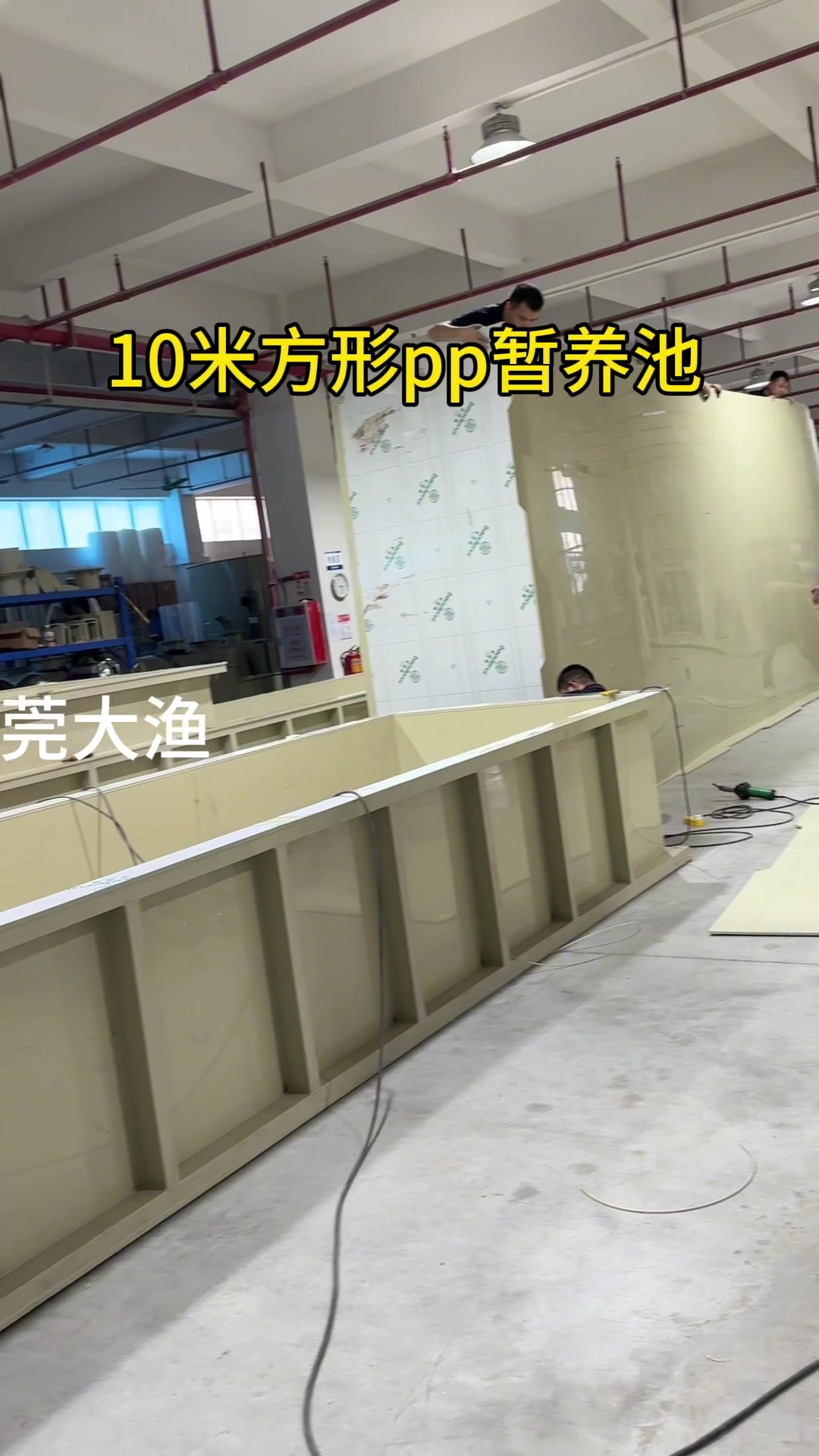 10米方形pp养殖鱼池#支持定做各种尺寸 #鱼虾蟹养殖 #锦鲤鱼池