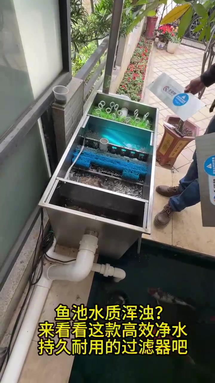 鱼池水质清澈看的见 鱼池过滤器 庭院鱼池 别墅鱼池