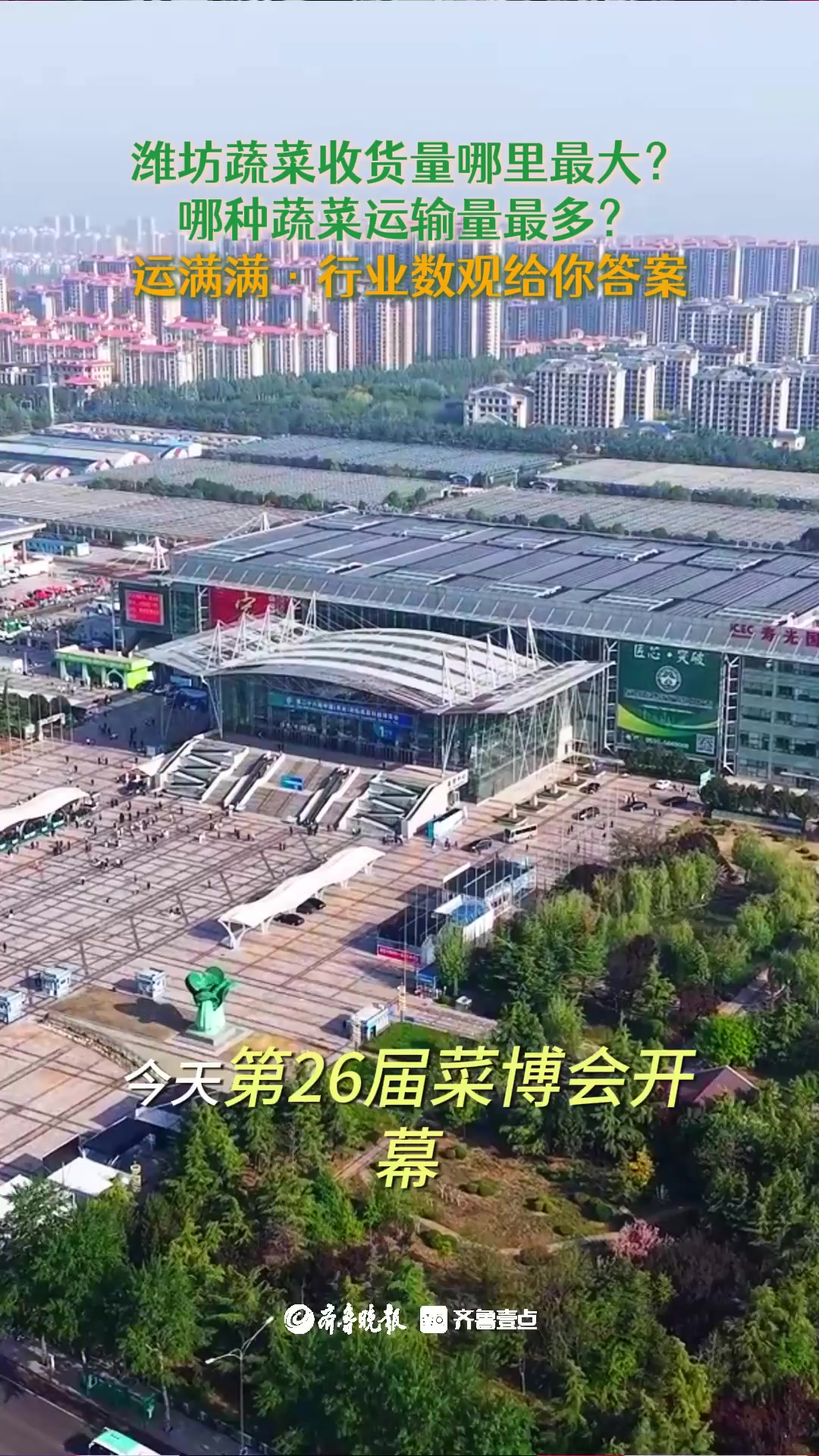 果然视频|潍坊蔬菜最大收货地是哪?运满满·行业数观给你答案