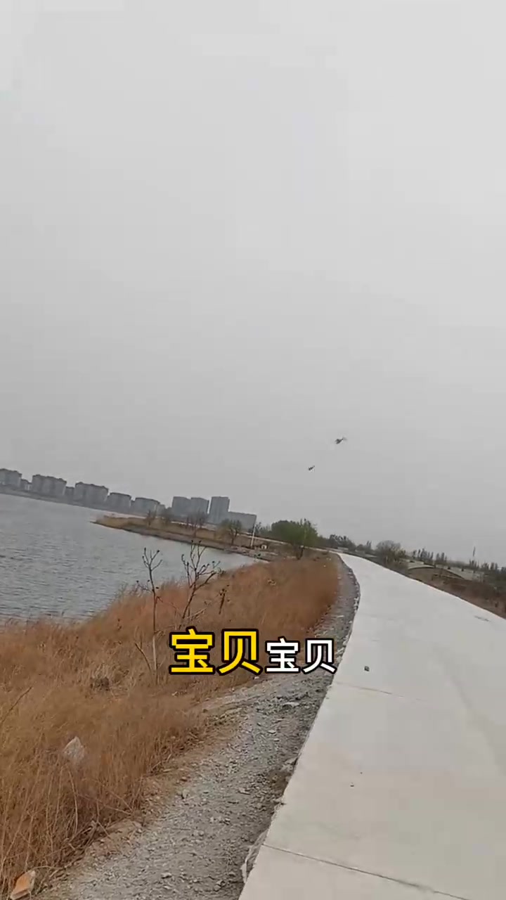 可爱的小鸭子快乐地嘎嘎嘎!