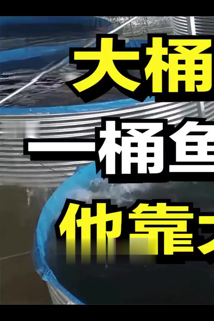 小伙自己动手建造大桶养鲈鱼,一桶鱼能卖12万元,年收入高达1000万元!