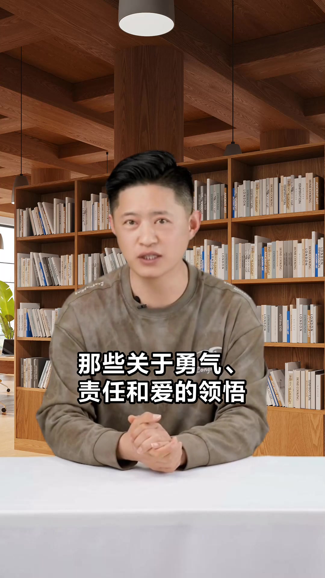 尼尔斯骑鹅旅行记故事梗概揭秘