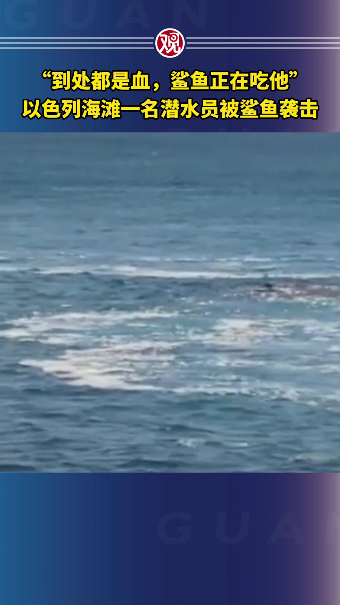 “到处都是血,鲨鱼正在吃他”,以色列海滩一名潜水员被鲨鱼袭击