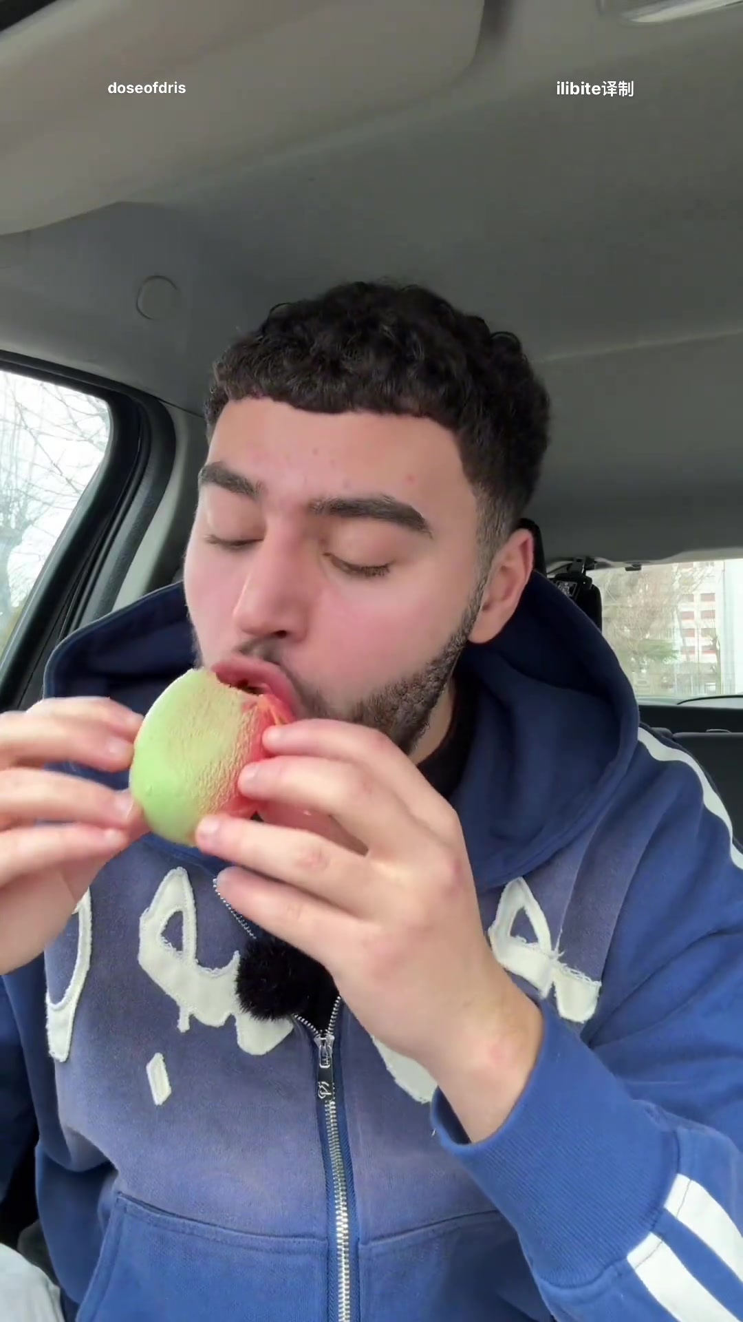 测评超火的法国仿真水果慕斯蛋糕!(两集汇总)「tt:doseofdris」