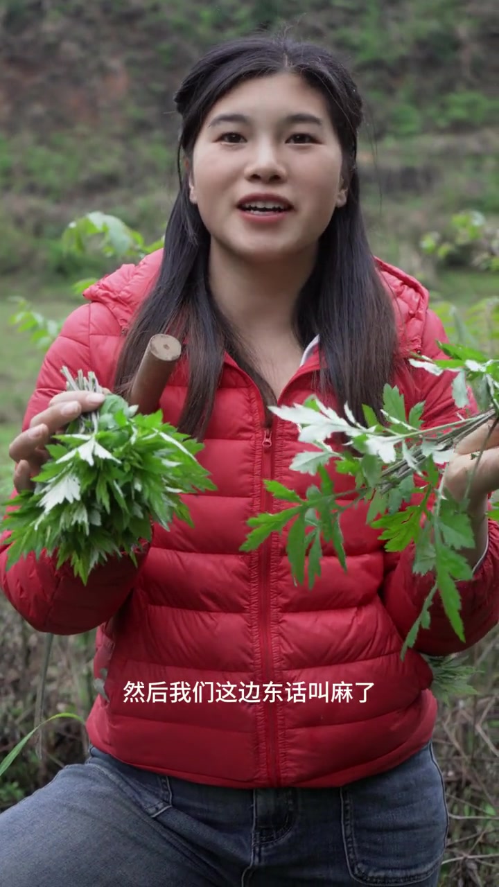 在贵州大山里,小橘一个小时收获7种野菜,你们吃过吗?都叫什么名字呢?