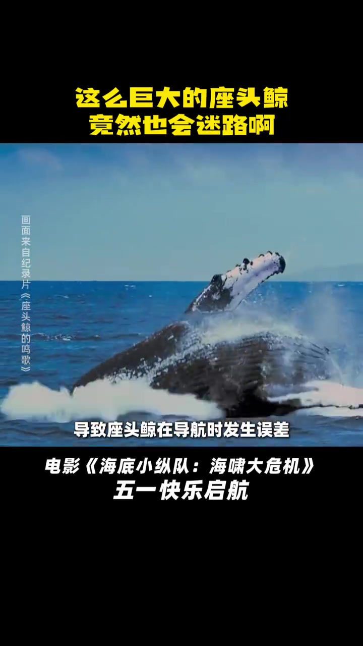 叮铃铃!小朋友们快搬好板凳排排坐好呀～海底小纵队大电影3 小课堂开课啦!