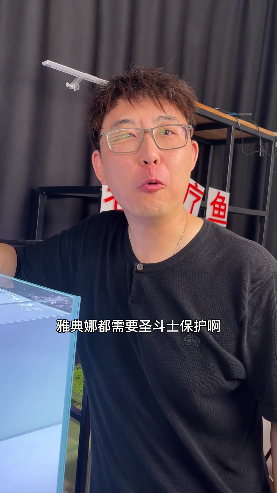 萌系观赏鱼的扛把子来了!