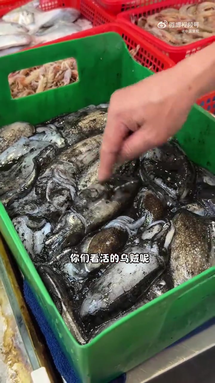 五一假期别犹豫!直奔舟山,让味蕾来一场酣畅淋漓的海鲜之旅!从鲜嫩肥美的梭子蟹,到鲜甜弹牙的