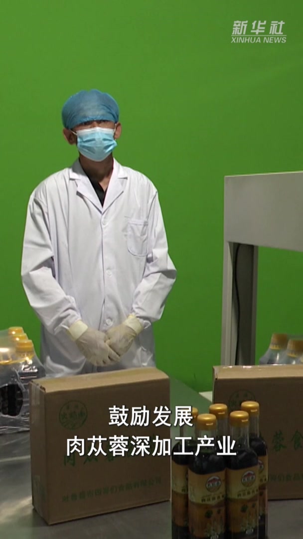 天山南北·驼铃新声|新疆鄯善县:肉苁蓉迎来开花季 沙海变“花海”