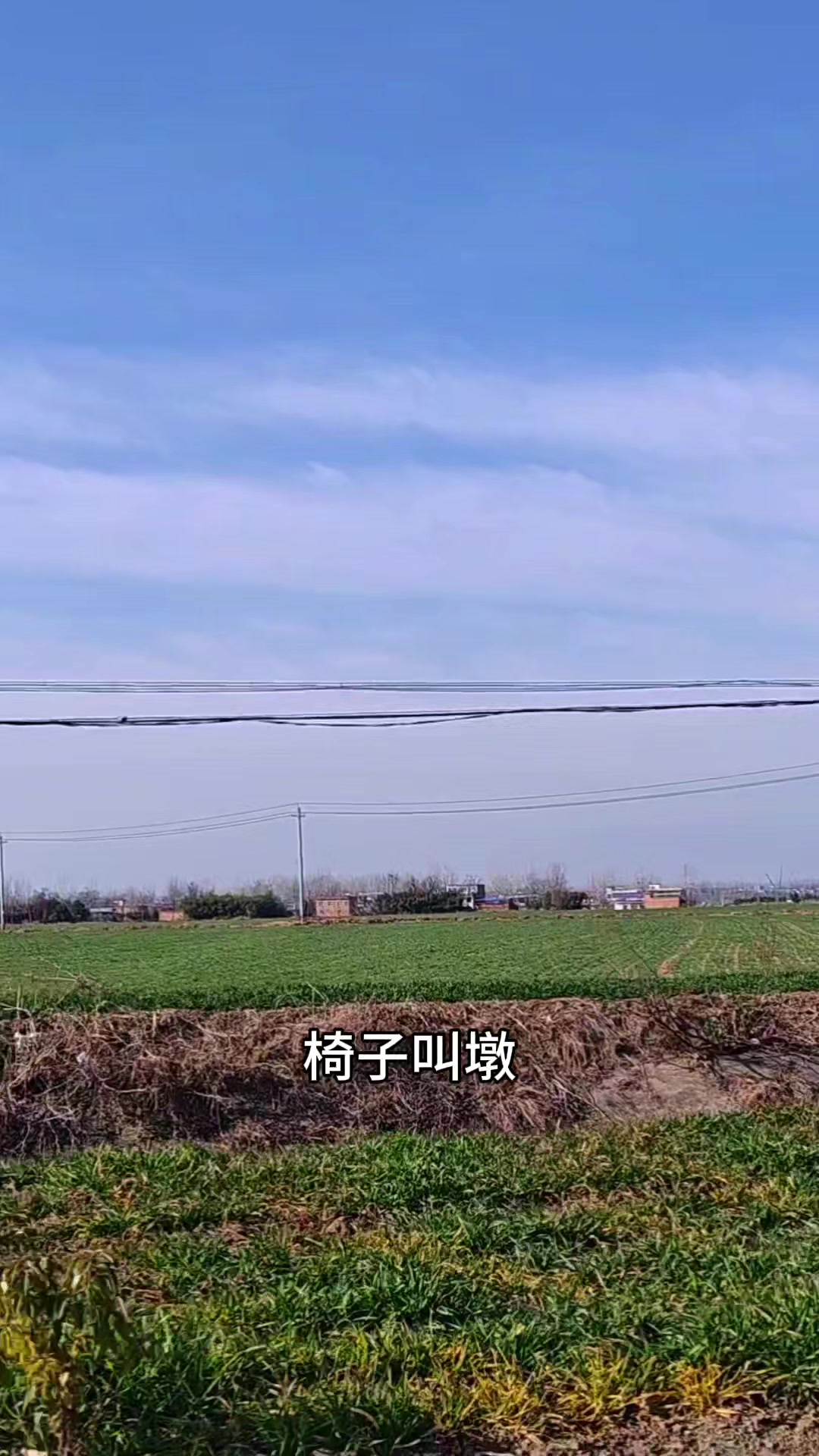 在河南有个地方,饺子叫扁食,香菜叫芫荽,捉迷藏叫藏老闷儿