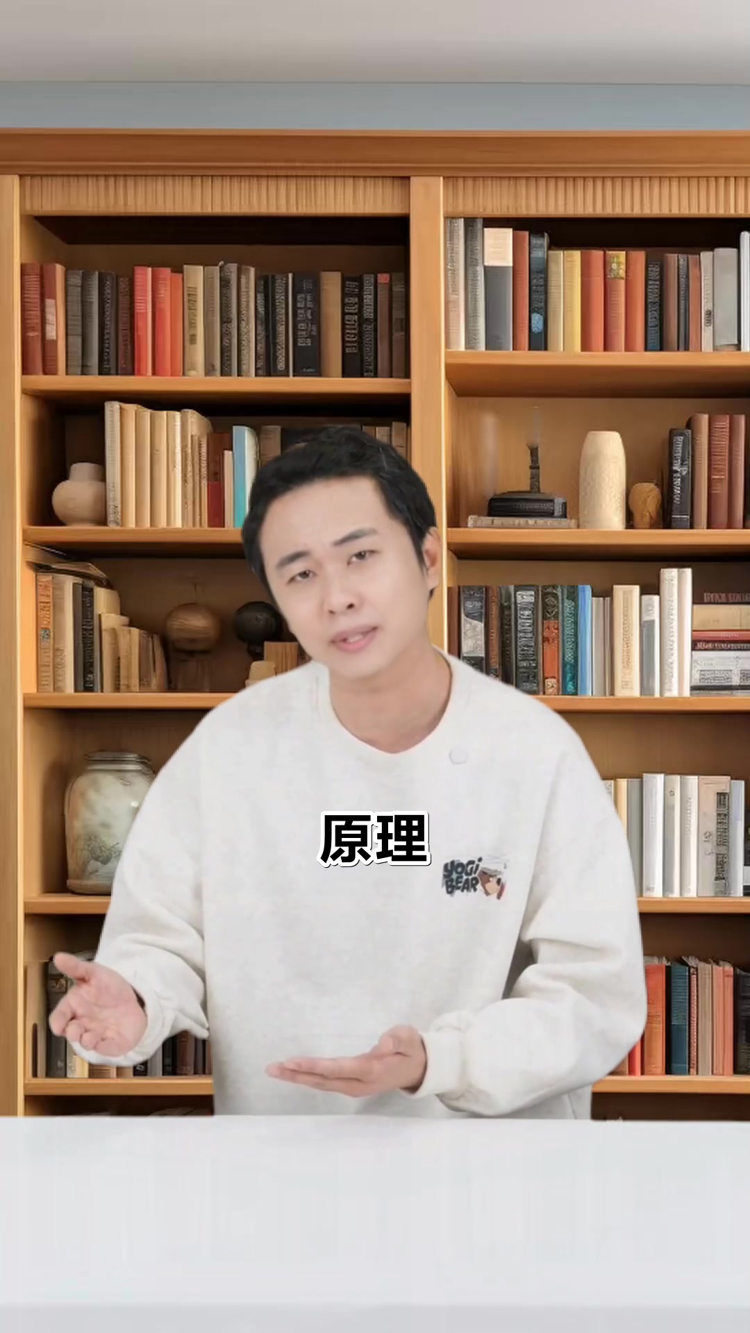 尼尔斯骑鹅旅行记故事梗概揭秘