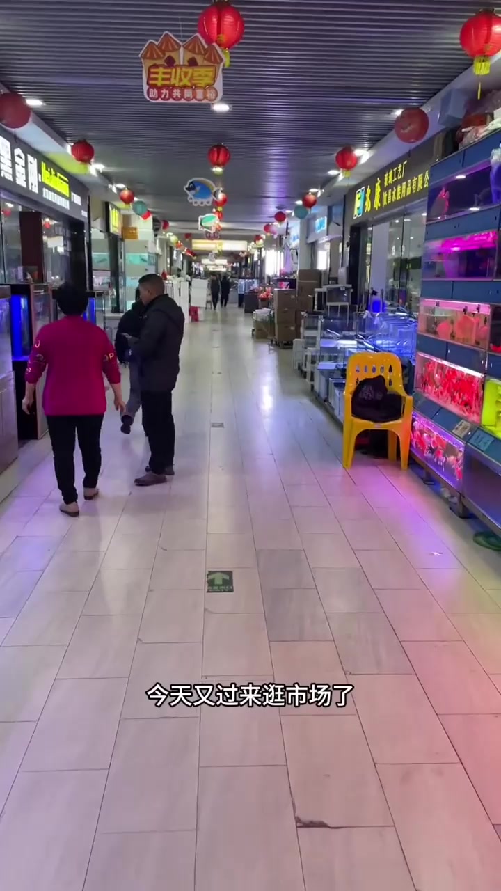 观赏鱼批发市场
