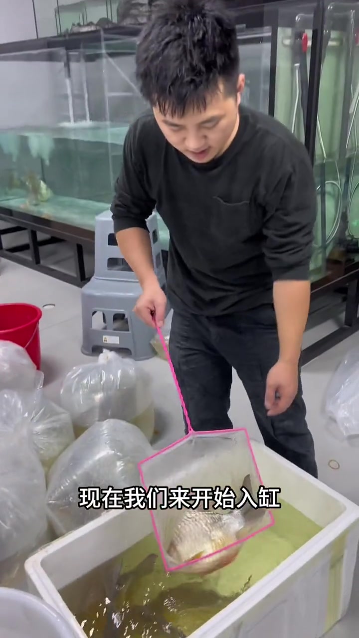 鲜嫩柠檬搭配鲜美的鲫鱼!