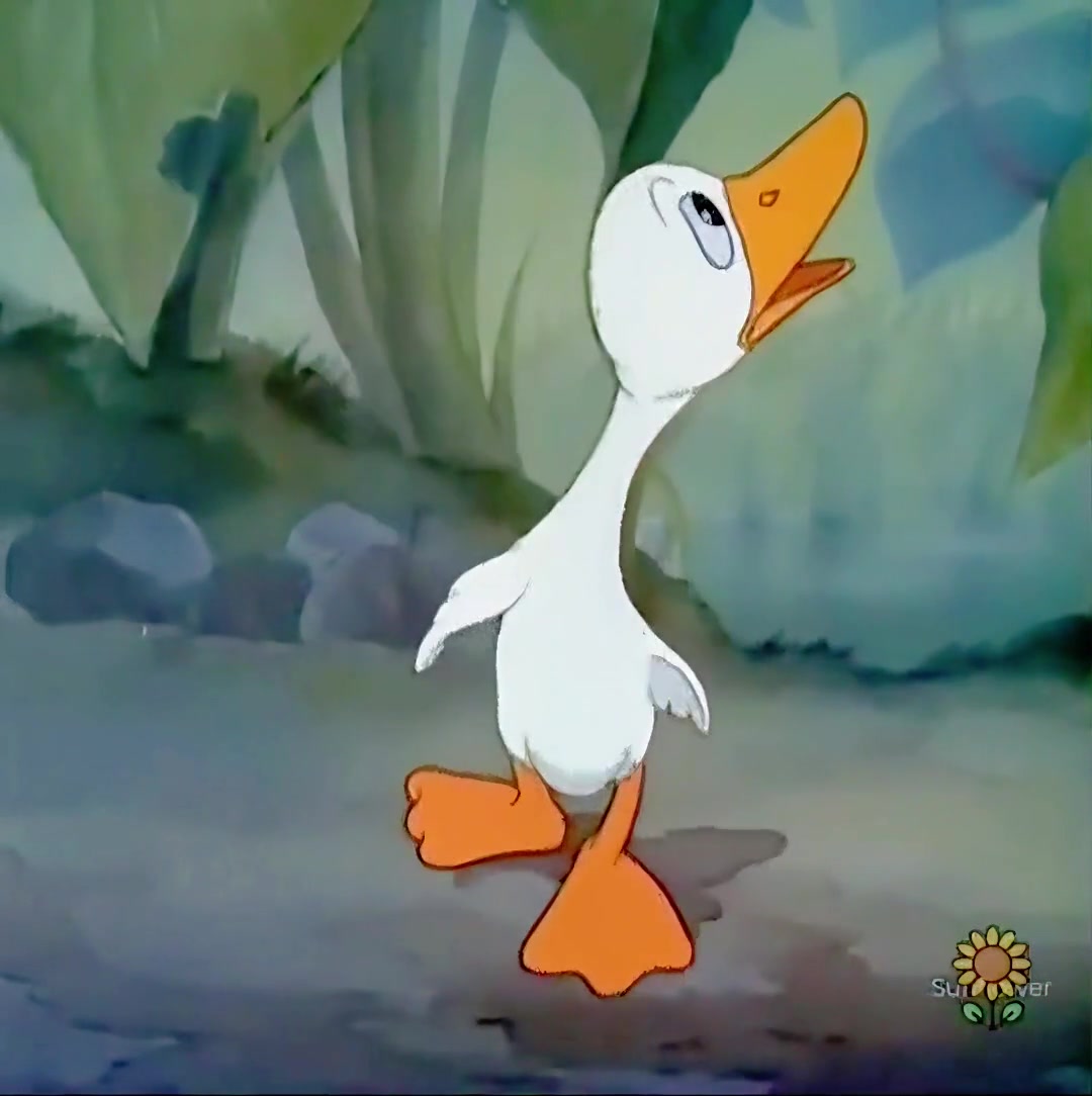 丑小鸭的故事来啦