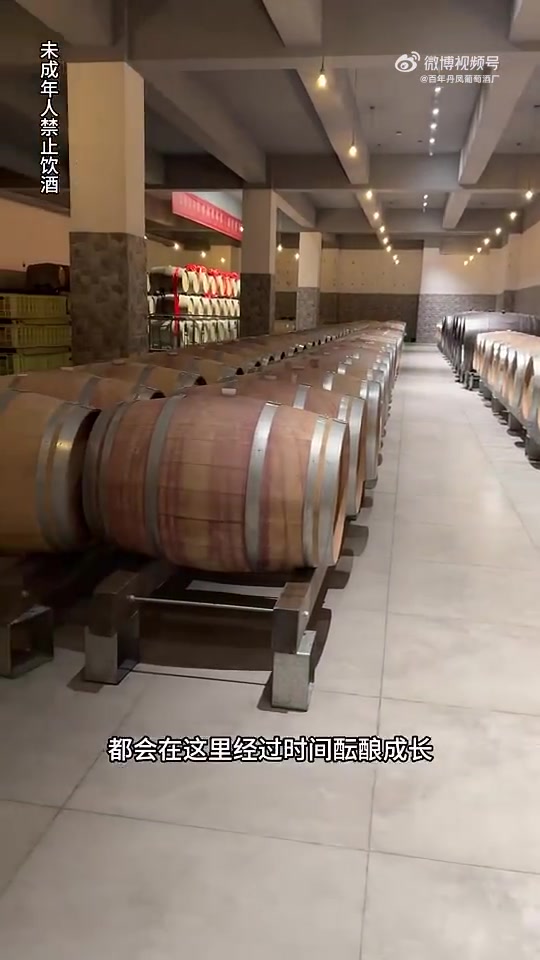 一进到这里,我就想喝一杯丹凤葡萄酒