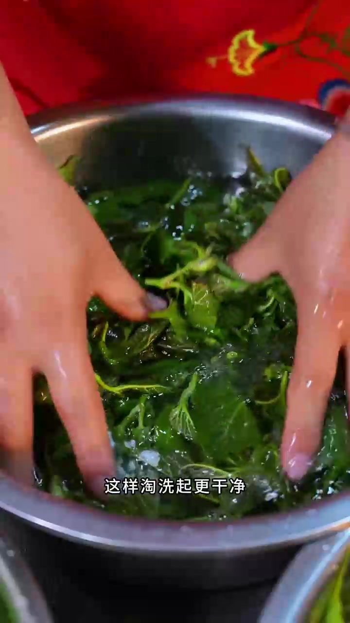 农村人的神仙菜桑叶,多种吃法这个季节不要错过哦