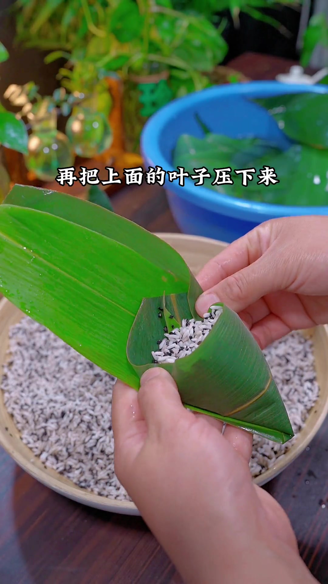 一看就会包的三角粽子,好看又不漏米,煮熟了紧实好吃,学会了以后每年都可以自己包粽子