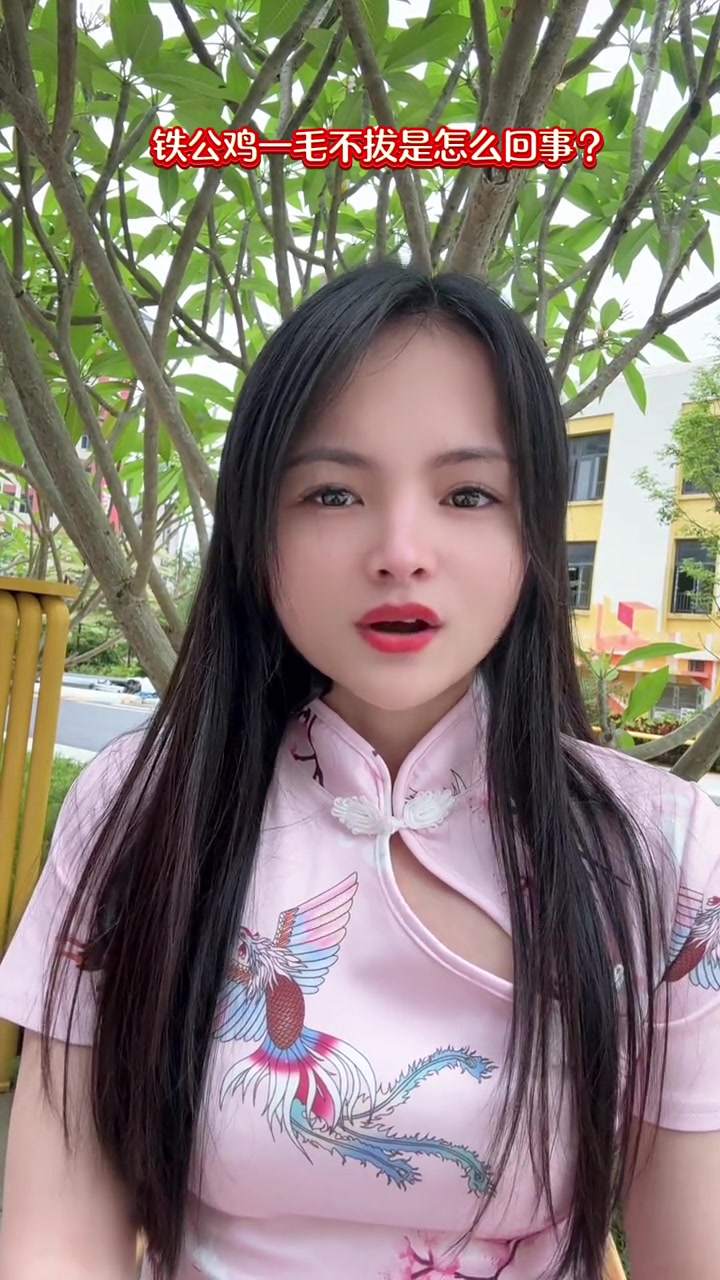 你知道铁公鸡一毛不拔吗?