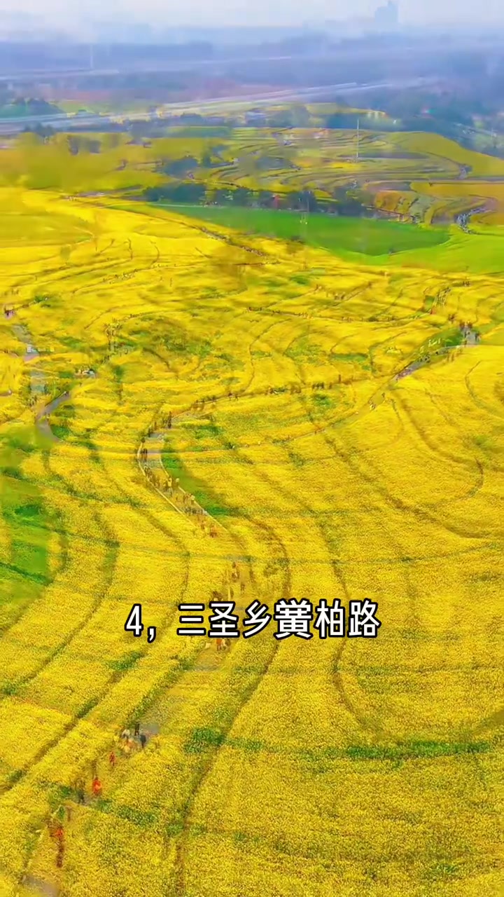 春天来成都赏油菜花的6大好去处