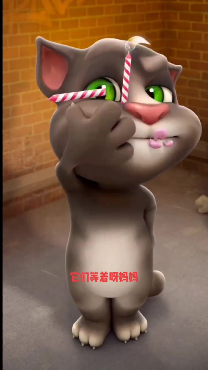 汤姆猫吃生日蛋糕 播放小鸭子嘎嘎嘎